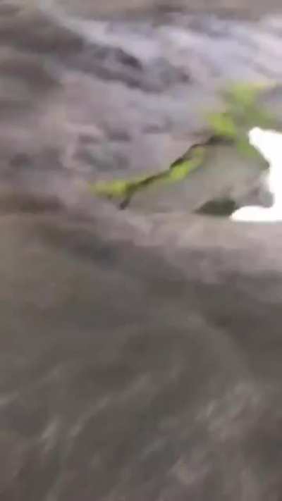 WCGW taking a closer look