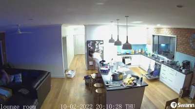A Micro Bat got in our house the other night&hellip;my wife was not a fan!
