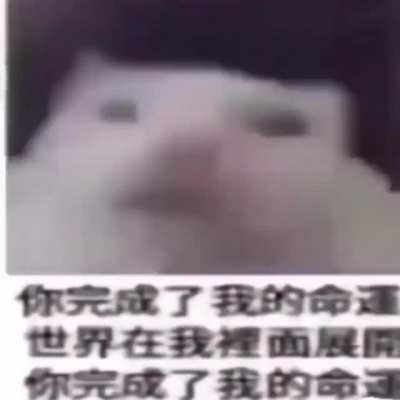 what he saying