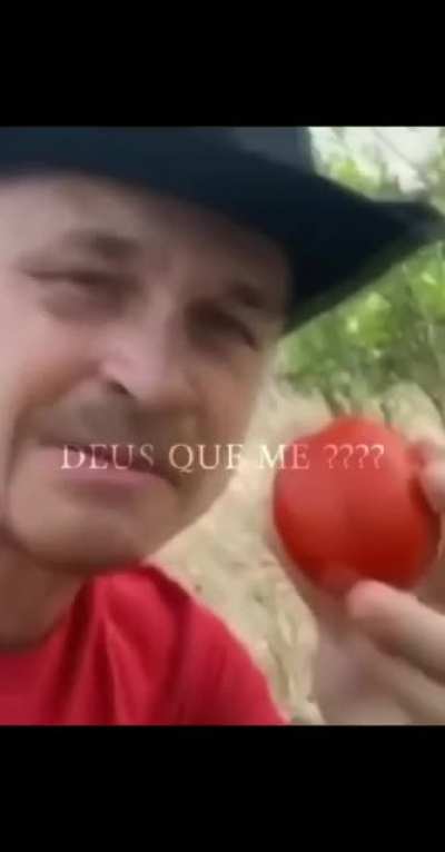 &Eacute; TOMATE