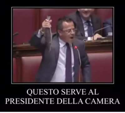 Spigola moment