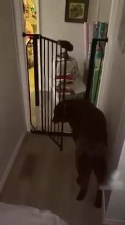 When you're the real boss!