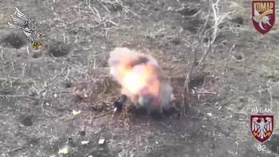FPV drone pilots of the Wild Division unit of the 82nd Brigade destroyed multiple Russian electric warfare systems.