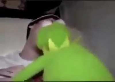 Kermit on some gay shit