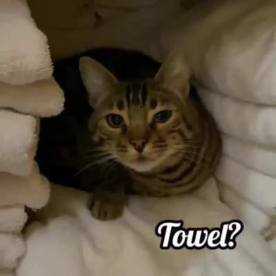 No Towels Here...
