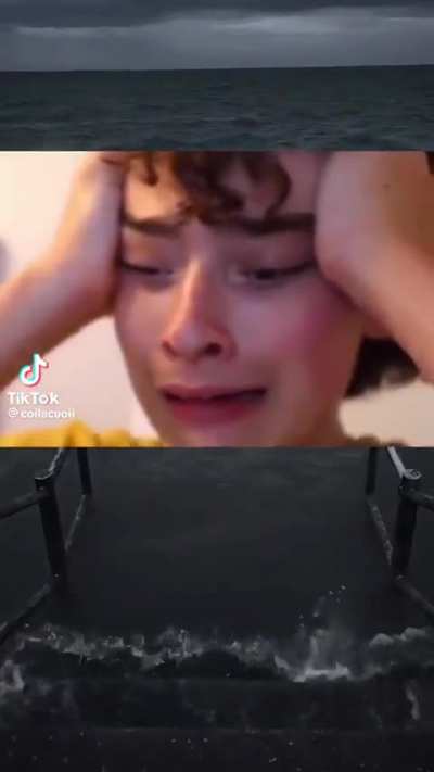 XD