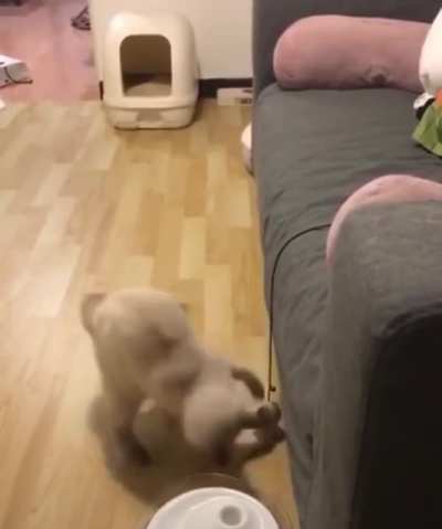 Startled is a understatement