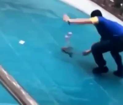 WCGW teasing a snake