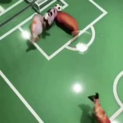You&rsquo;ve seen quite too many shitposts. Have some fish playing soccer :)