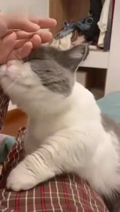 clingy demon