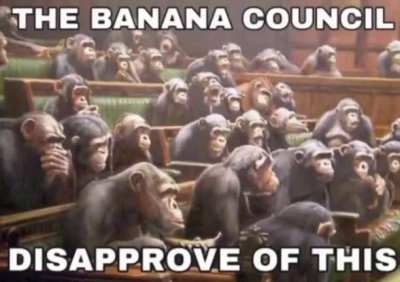 The Banan council🍌🍌🍌🍌🐒🐒🐒