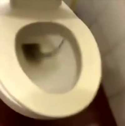 Leaked clip of sam&rsquo;s next EFT video