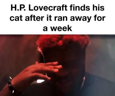 Losercity cat&rsquo;s name