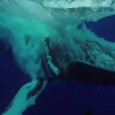 🔥 Huge thing