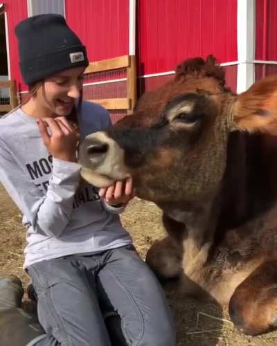 Moo.