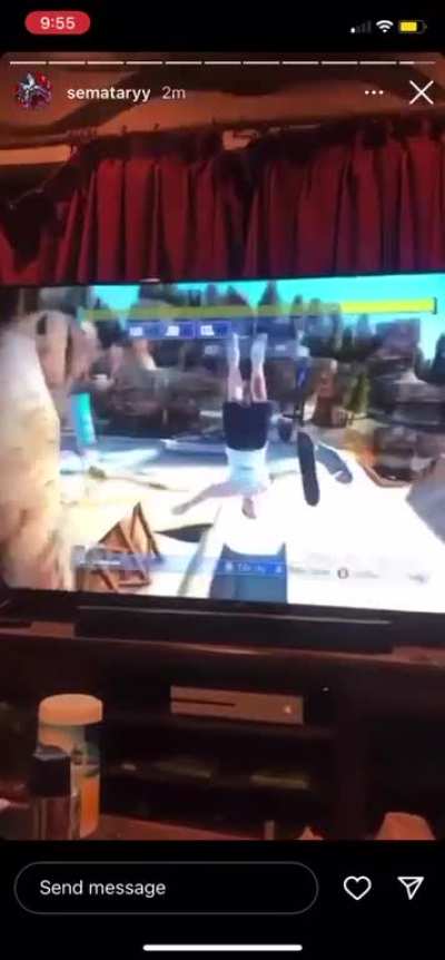 Skate 3