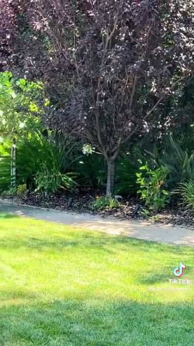 She sent buddy to the bushes &eth;&curren;&pound;&eth;&curren;&pound;&eth;&curren;&pound;&eth;&curren;&pound;&eth;&curren;&pound;&eth;&curren;&pound;&eth;&curren;&pound;&eth;&curren;&pound;