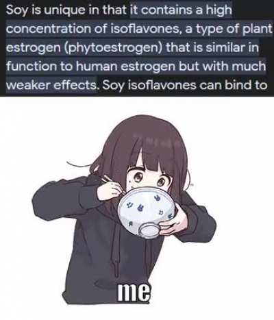 egg_irl