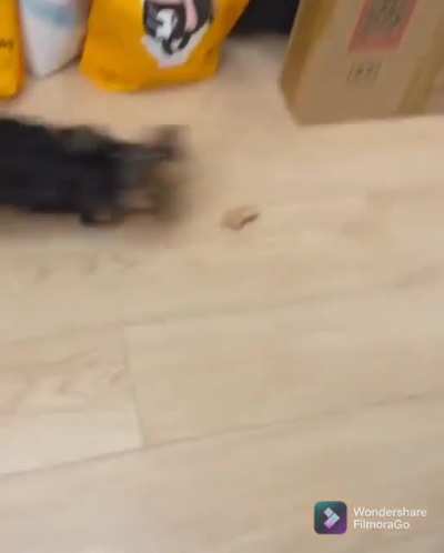 5 second rule