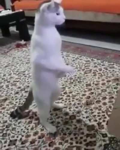What the fuck