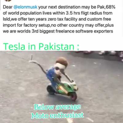 Tesla🇵🇰🦆.