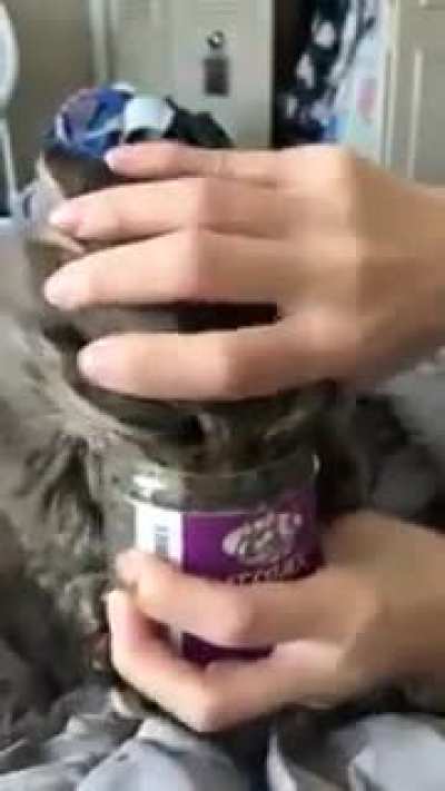 The nip has taken control