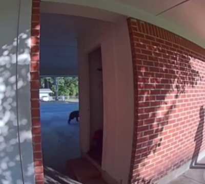 That kid was looking for a new friend.