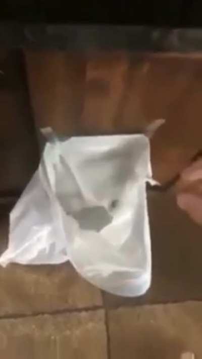 Throwing out old light bulb