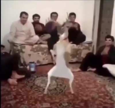 Dance