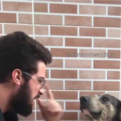 Bah, sei o t&iacute;tulo n&atilde;o