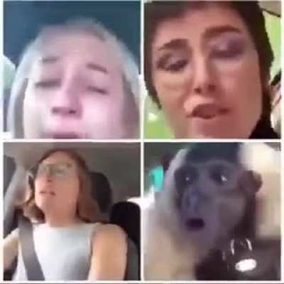 Strangely similar