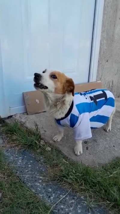 Malvadooo
