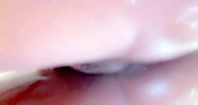 * FR3ky B33 BR0WN