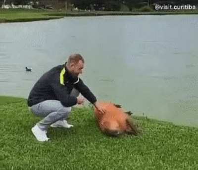 Who&rsquo;s happier here