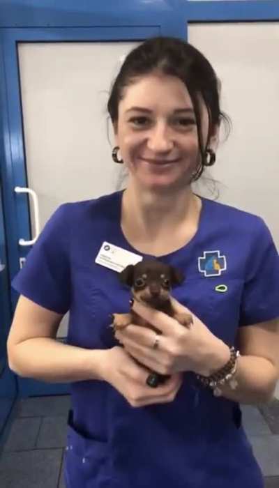 Smallest Smile