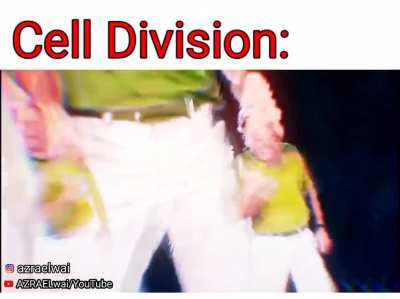 Cell Division in short