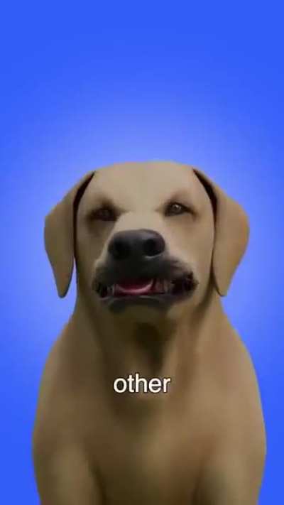 From a ZackDFilms ripoff...