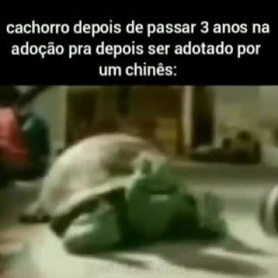 😎👌&lsaquo;&rsaquo;