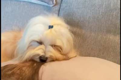 World&lsquo;s best hairdresser