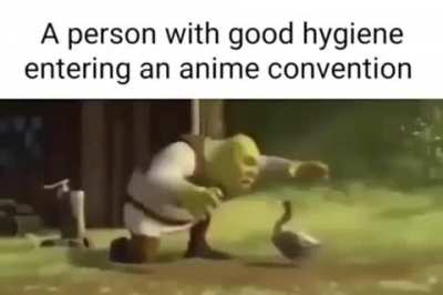 Bo