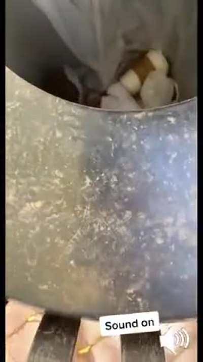 Lady becomes stupid.