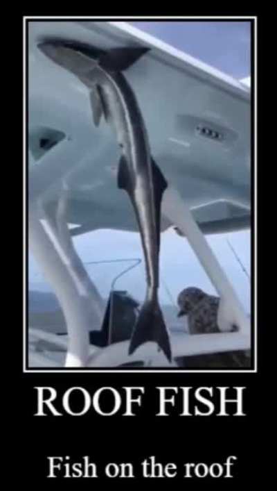 Why he stuck there?