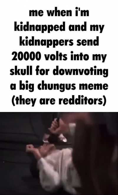 standard issued limited edition chungus taser
