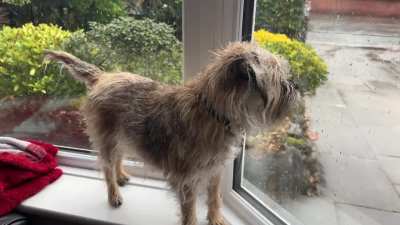 Does anyone else&rsquo;s BT spend the whole day waiting for the postie?!