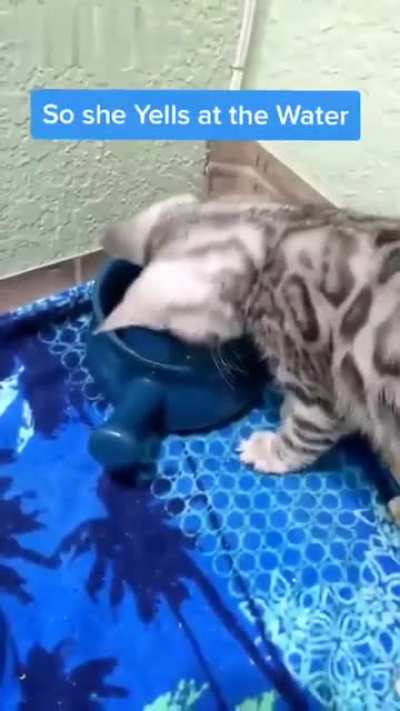 Yelling at water
