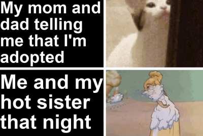 It explain himself
