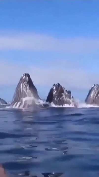 thalassophobia hits hard