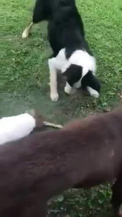 Is not the size