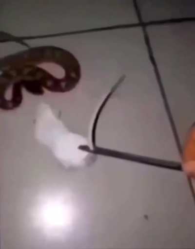 Maybe maybe maybe