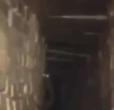 cursed_butter